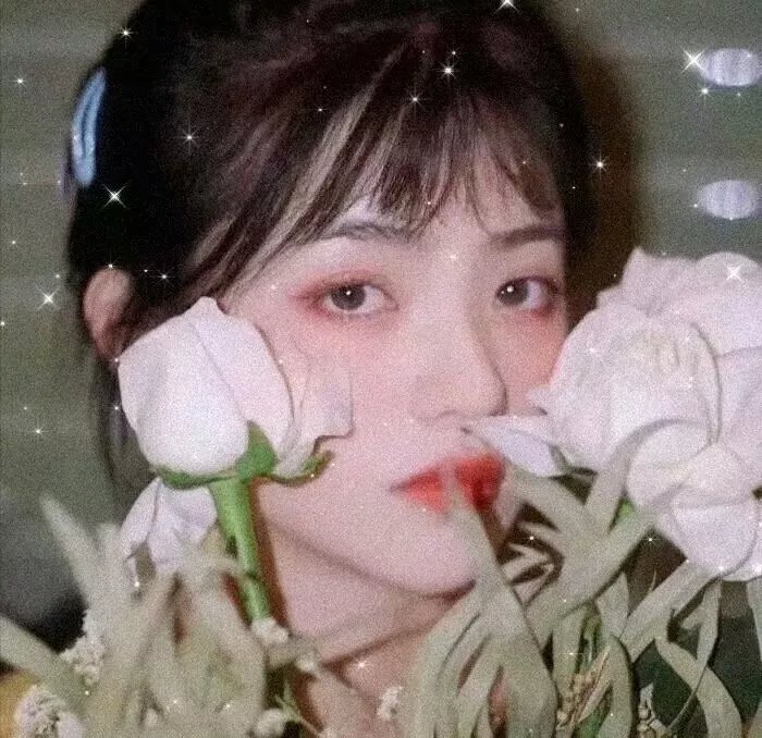 至爱梵高:不可能之梦